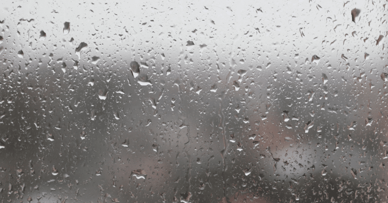 How Do Weather Conditions Affect the Need for Alloy Wheel Repairs?